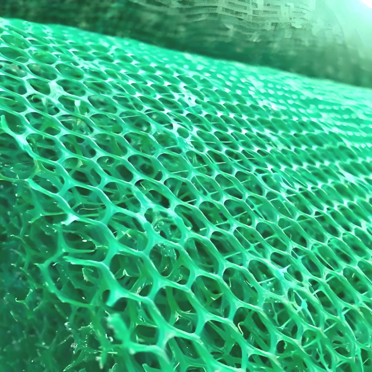 Top 10 PP Geotextile Solutions for Unmatched Durability and Stability