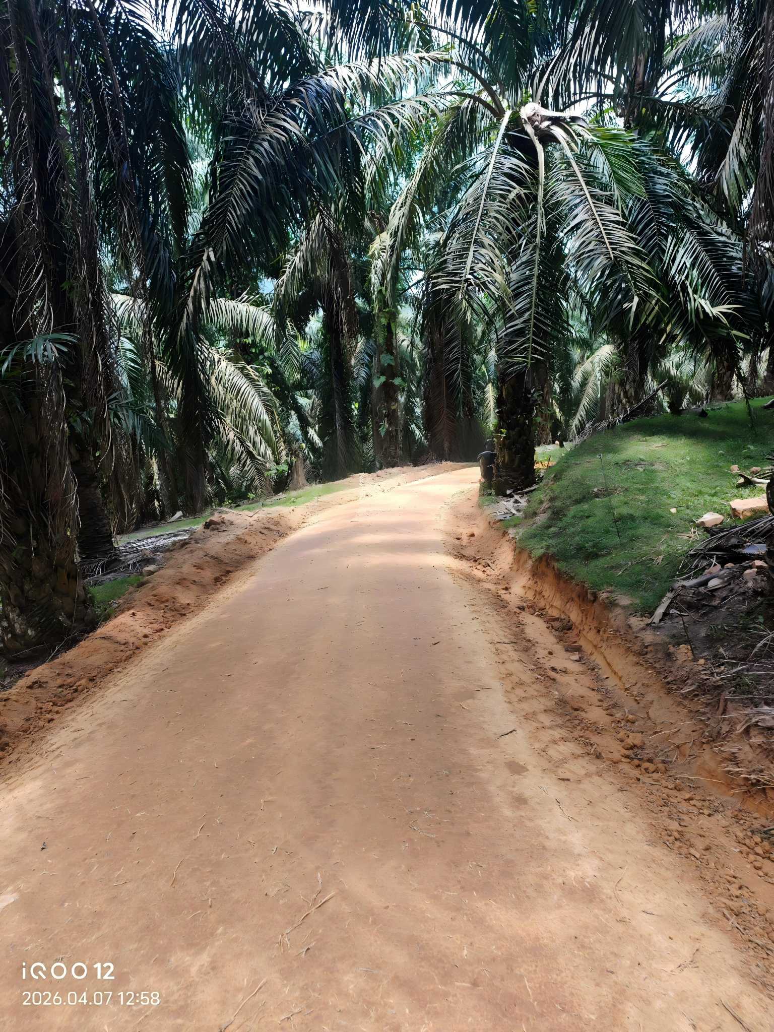 Eco Solution Polymer Soil Stabilizer: A Game-Changer for Sustainable Infrastructure