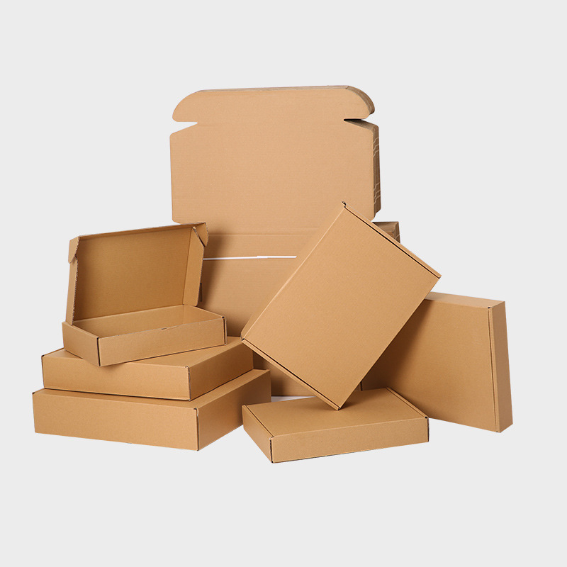 Professional Airplane Box: Essential Features Every Aviation Enthusiast Should Know