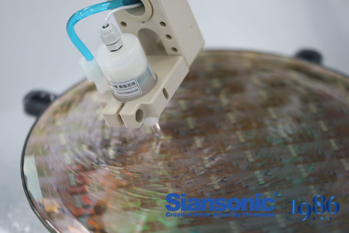 Wafer Cleaning System Brand: A Practical Guide to Evaluating Performance and Support